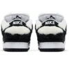 Nike Dunk verdy vick